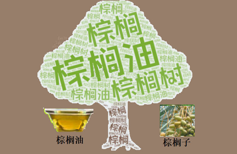 GTC外汇平台：棕榈油连续四日收涨 短期反弹动能能否延续？